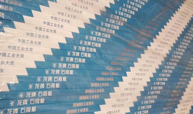龙牌系列